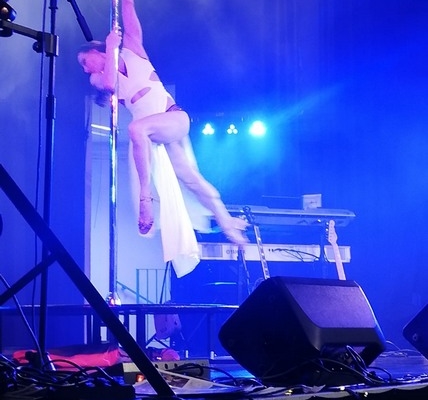 JY SERVE Orchestre Spectacles du monde pole dance (3)